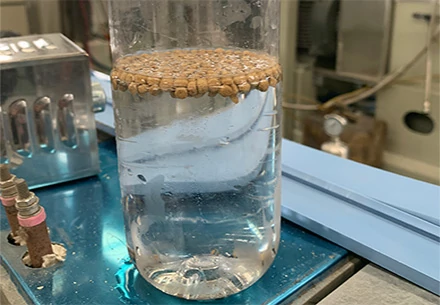 Feeding Zone of Floating fish feed
