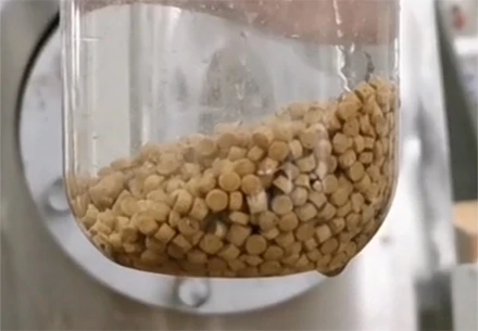 Feeding Zone of Sinking pellet fish food