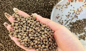 Floating Fish Feed