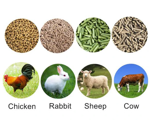 animals with pelleted feed